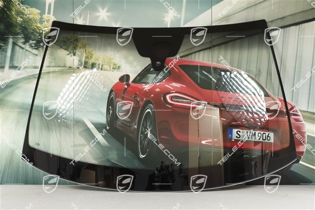 Windscreen, without camera, with top tint