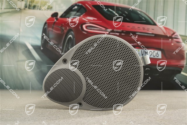 Coupe / Targa, Lautsprecher, Graffitigrau, Hinten, R