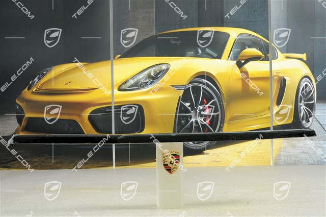 Zierleiste mit Dichtung, Aluminium Paket, Tür hinten, schwarz, L