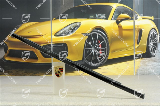 Zierleiste mit Dichtung, Aluminium Paket, Tür hinten, schwarz, L