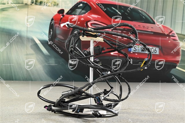 Wiring harness for PDC and reversing camera