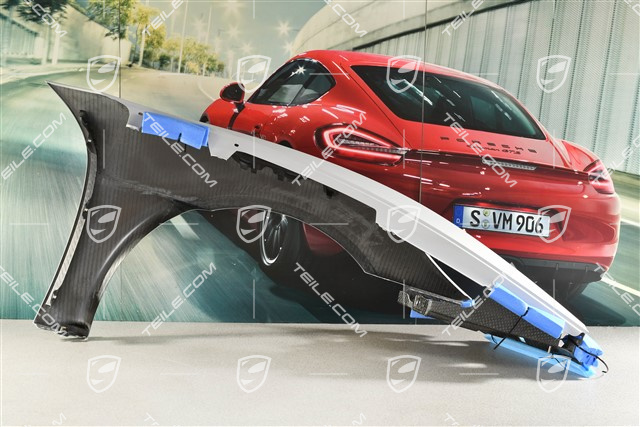 GT4 RS/Spyder RS Błotnik przedni, L