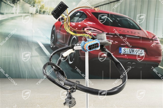 Wiązka elektryczna, przód, (nie do Xenonów), R