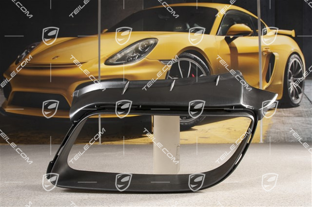 Cover, Tail pipe, black mat, L