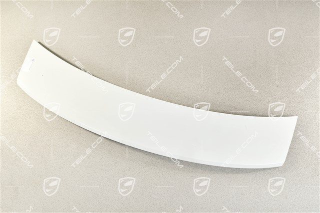 Spoiler / wing