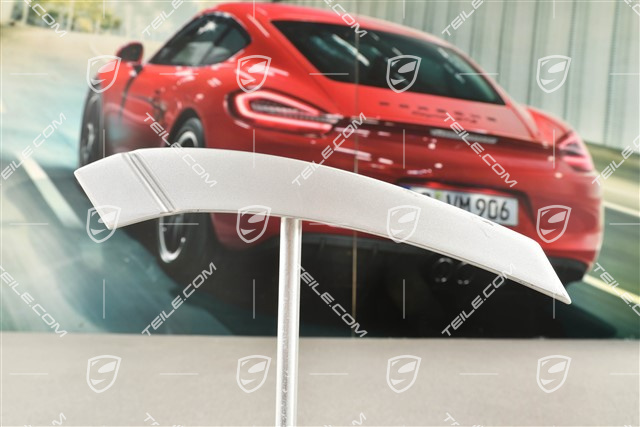Trim / cover / C-pillar, Targa, L