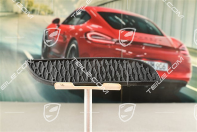 Rear bumper outlet cover, GT3, L