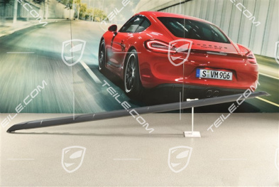 Cross Turismo, Side skirt moulding, primed, R