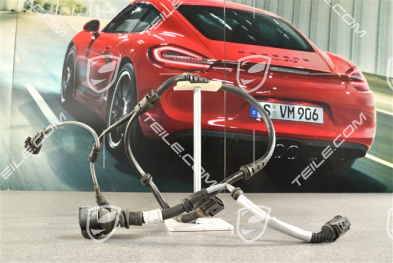GT3, Rear axle wiring harness, PASM, L=R