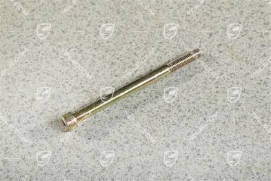 PAN-HEAD SCREW M8 x 110 PAN-HEAD SCREW M8 x 110