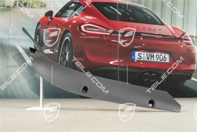 Wing / Fender Rear Cover, Black, L