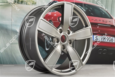 20" Felgensatz Carrera Sport, 8,5J x 20 ET49 + 11,5J x 20 ET56, Platinum Seidenmatt