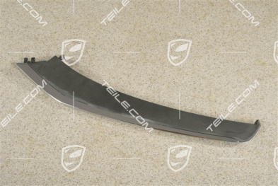 Anniversary edition 50 years 911, Disc / cover lower for front bumper retaining frame, Black, L