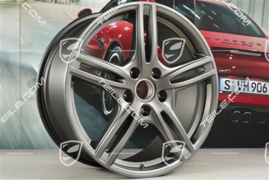 20" Felga Panamera Turbo, 9,5J x 20 ET71, Platinum satynowy mat