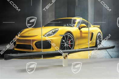 Osłona progu, C4/C4S/Targa4/Targa4S/GT3, R