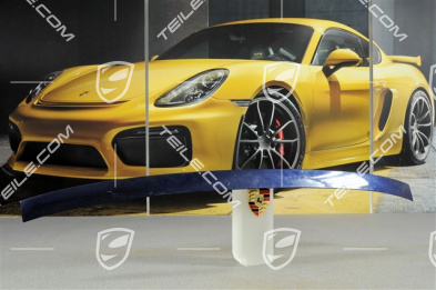 Abdeckleiste, Hardtop, L Abdeckleiste, Hardtop, L