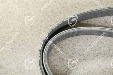 Poly rip belt, S / GTS