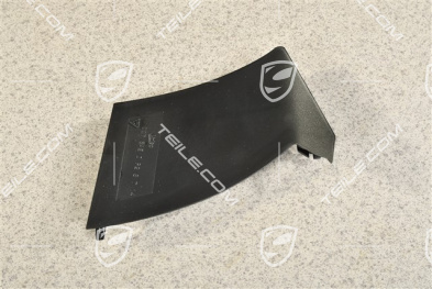 Rear light cover, outer, USA, R