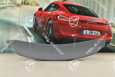 Spyder, Spoiler / Flügel, Oberteil