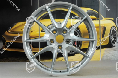 20" Felge, Carrera S III, 8J x 20 ET57, Felgenstern Rhodiumsilbermetallic