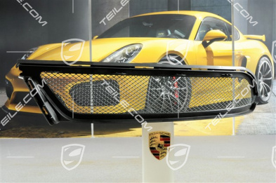 GT3RS kratka ochronna, R GT3RS kratka ochronna, R