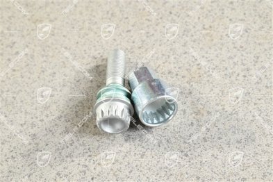 Adapter for anti theft protection screw + 1 Bolt / screw