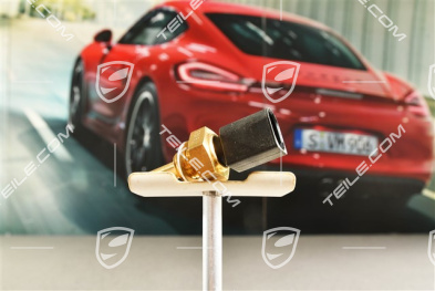 Temperature sensor