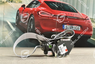 Coupe / Targa, Seat belt, front, Silver, L