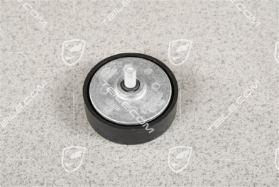 Umlenkrolle mit Schraube 2,9 / 3,0L V6