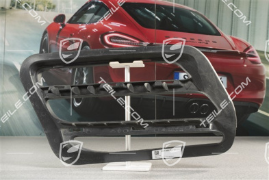 Frame air exhaust, black, L
