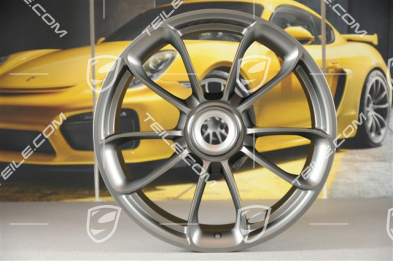 20" Felge GT3RS, mit GTSRS Schriftzug, 9,5J x 20 ET50, Platinum-Seidenmatt