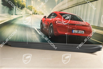 Schwellerblende, kurzer Radstand, Sport Design Paket, R