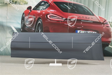 Strip, rear door, R