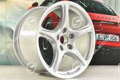 19-inch "Carrera Classic" wheel, 11J x 19 ET51