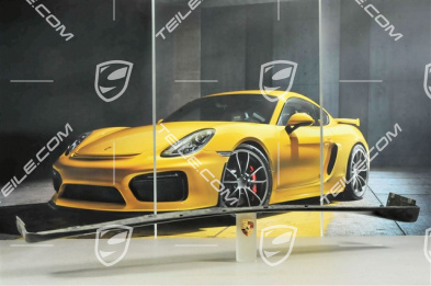 Schwellerblende, Aerokit "Turbo" / Aerokit "Carrera 4S", L