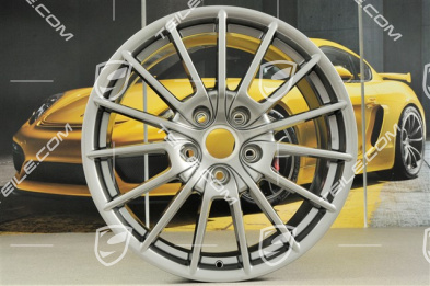 20-inch Panamera Sport wheel, 9,5J x 20 ET65, GT silver metallic
