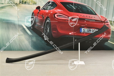 Targa, Verdeckkasten Verkleidung, mittelteil, Schwarz