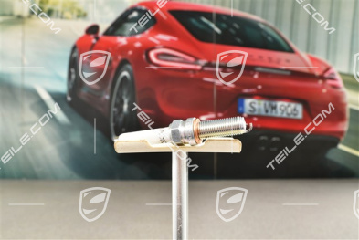 GTS 4.0 / Spyder, Spark Plug