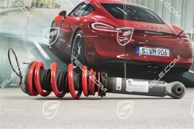 Stoßdämpfer, GT3  PASM , komplett L=R