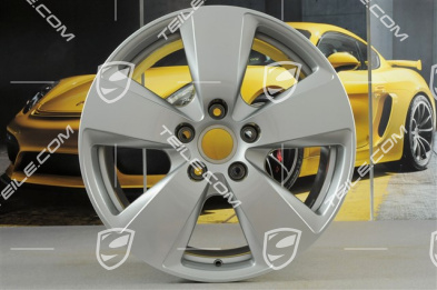 19-inch Cayenne wheel rim, 9,5J x 19 ET54