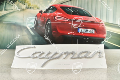 "Cayman" Badge / Emblem / logo, lacquered, Satin aluminium