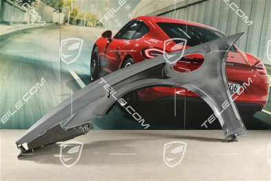 GT4 RS/Spyder RS Fender / Wing, R