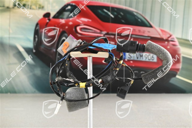 Wiązka elektryczna, drzwi kierowcy, L
