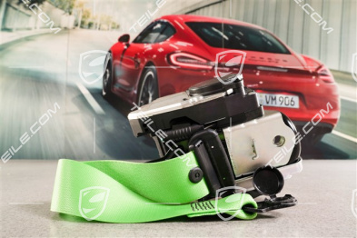Cabrio, Sicherheitsgurt, Lizardgrün, R