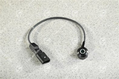 Knock sensor