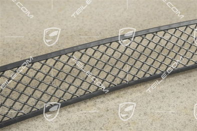 Lufteinlassgitter, Speedster