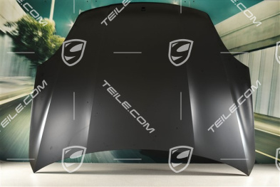Front/engina lid