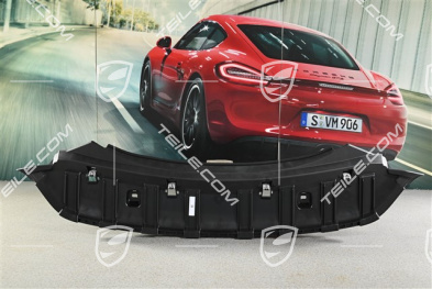 Spyder, Podstawa dolna tylnego spoilera