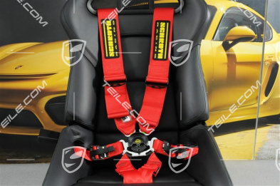 Schroth Profi 3x2 - 6 point seatbelts