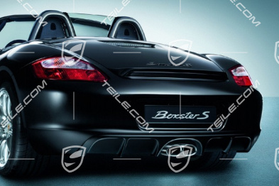 Boxster SportDesign package (2 x lip spoiler + rear spoiler + rear bumper), Carrera GT Look